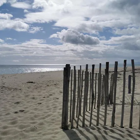 Apartmán Les Marines Iii - Tout Confort - Tout Equipe - En Bord De Mer - Avec Jardin - Proche Commerces Et Animations *